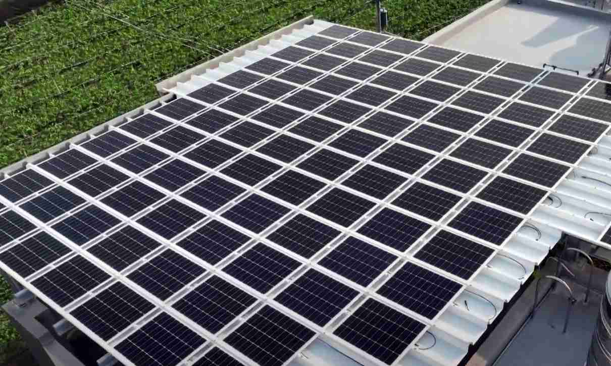 口袋牛店SunSteel光电浪板升级双玻结构，，，，以提升机械负载强度及气候耐候度，，可广泛运用于多元场域